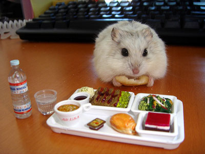 Le hamster et son plateau repas